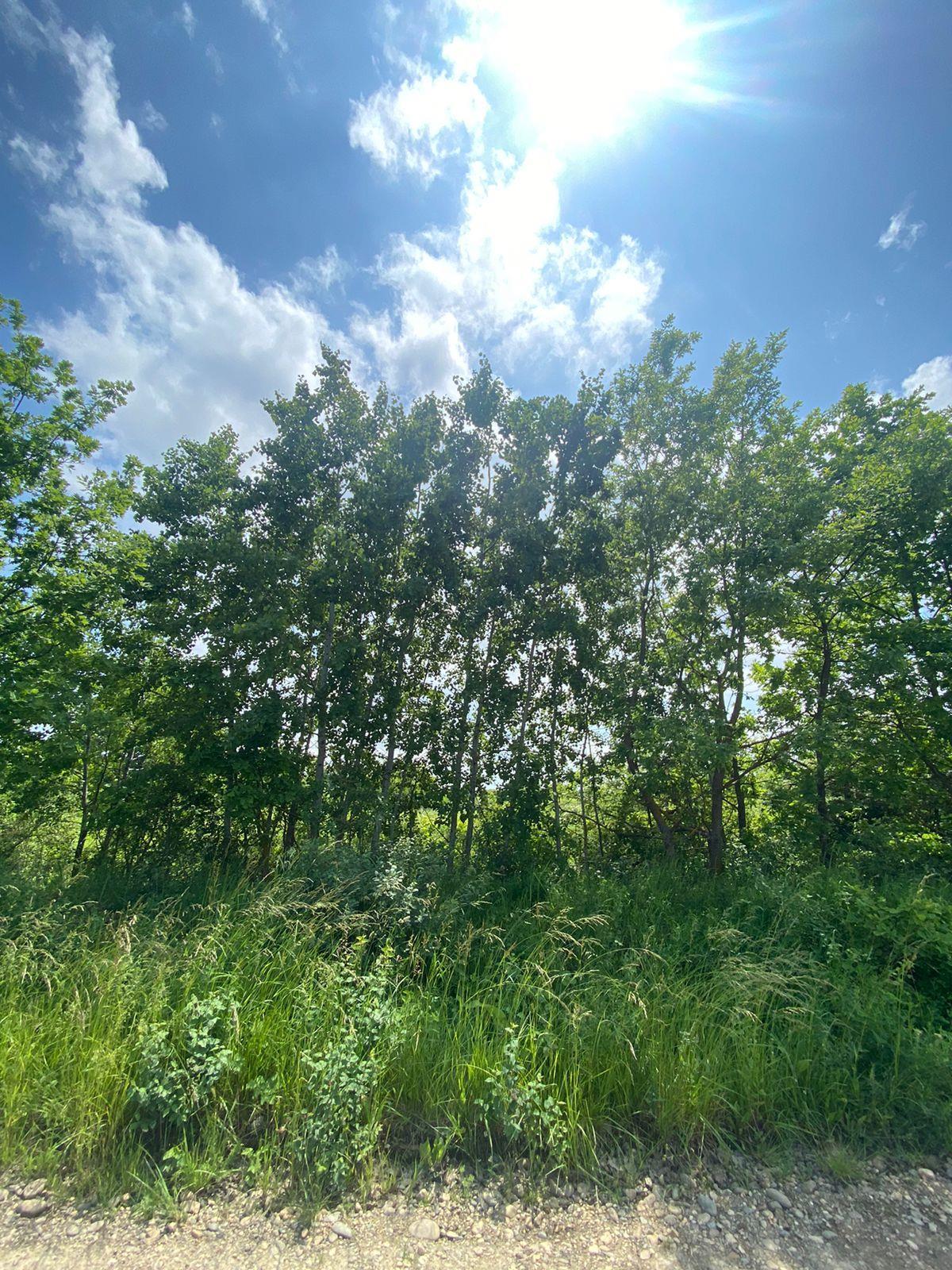 Фото №2: Коммерция 10 м² - садово- Адыгея, 1041