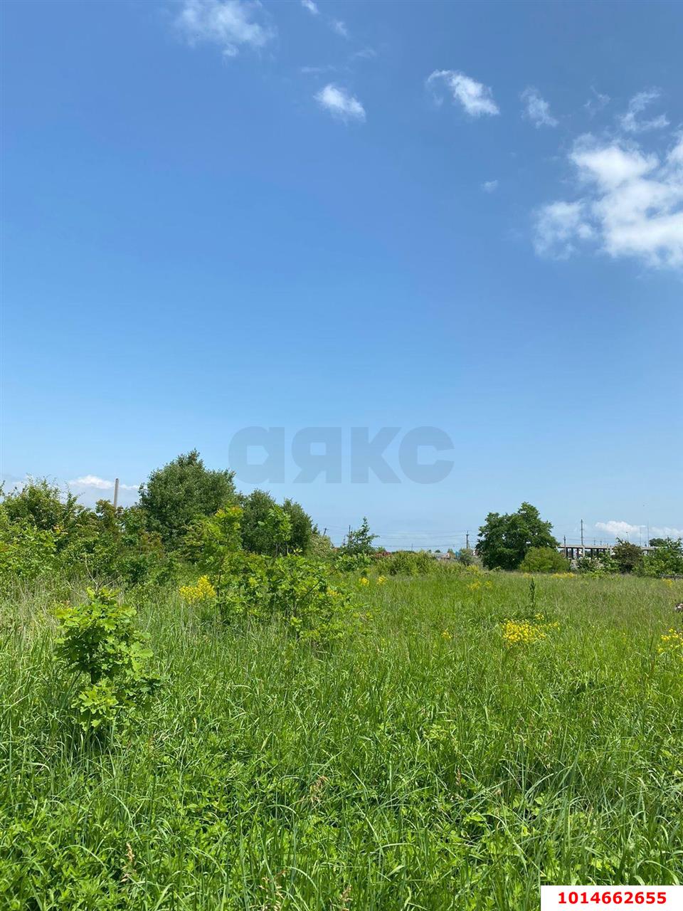 Фото №1: Коммерческая земля 11 сот. - садово- Адыгея, 1041