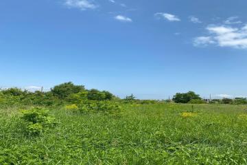 Фото №1: Коммерция 10 м² - садово- Адыгея, 1041