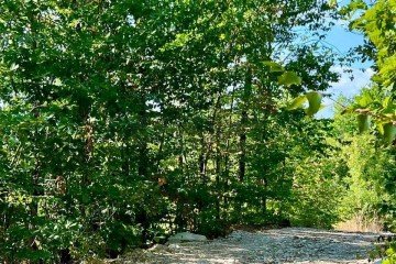 Фото №5: Участок садоводство 6.41 сот. - СНТ Товарищ, ул. Клубничная
