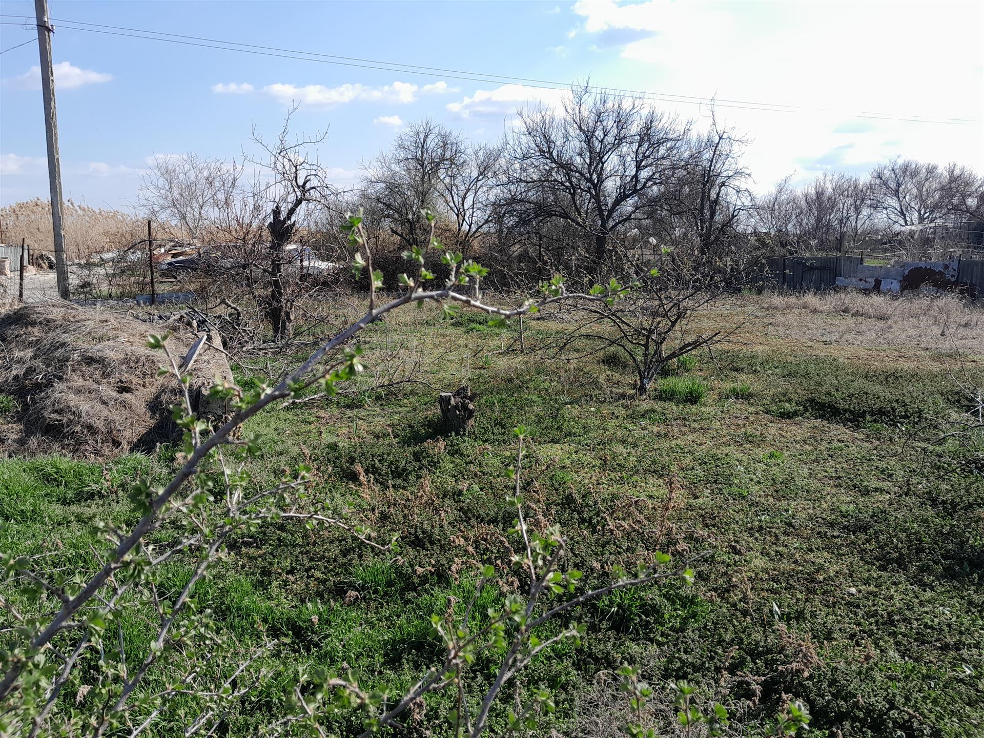 Фото №3: Земельный участок 4 сот. - СНТ Мичуринец, 1