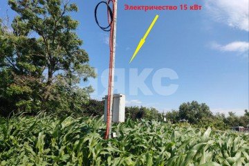 Фото №4: Земельный участок под ИЖС - Кучугуры, ул. Южная, 3