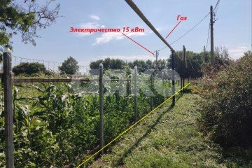 Фото №3: Земельный участок под ИЖС - Кучугуры, ул. Южная, 3
