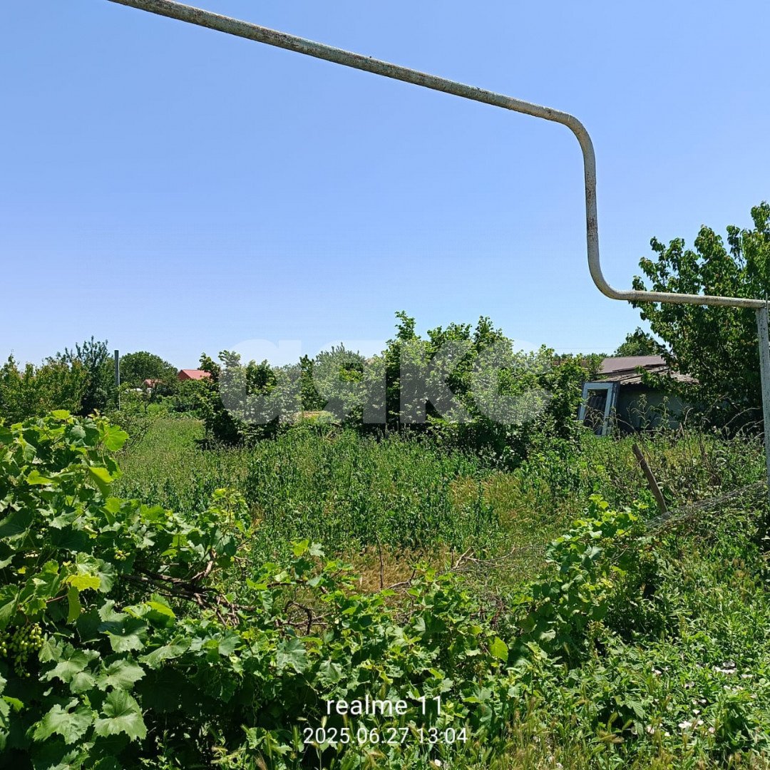 Фото №10: Личное подсобное хозяйство 6 сот. - Курчанская, ул. Кривой тупик