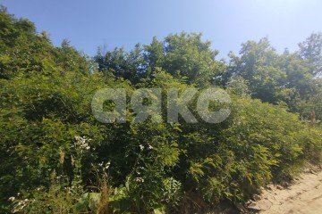 Фото №4: Участок садоводство - Надежда, 