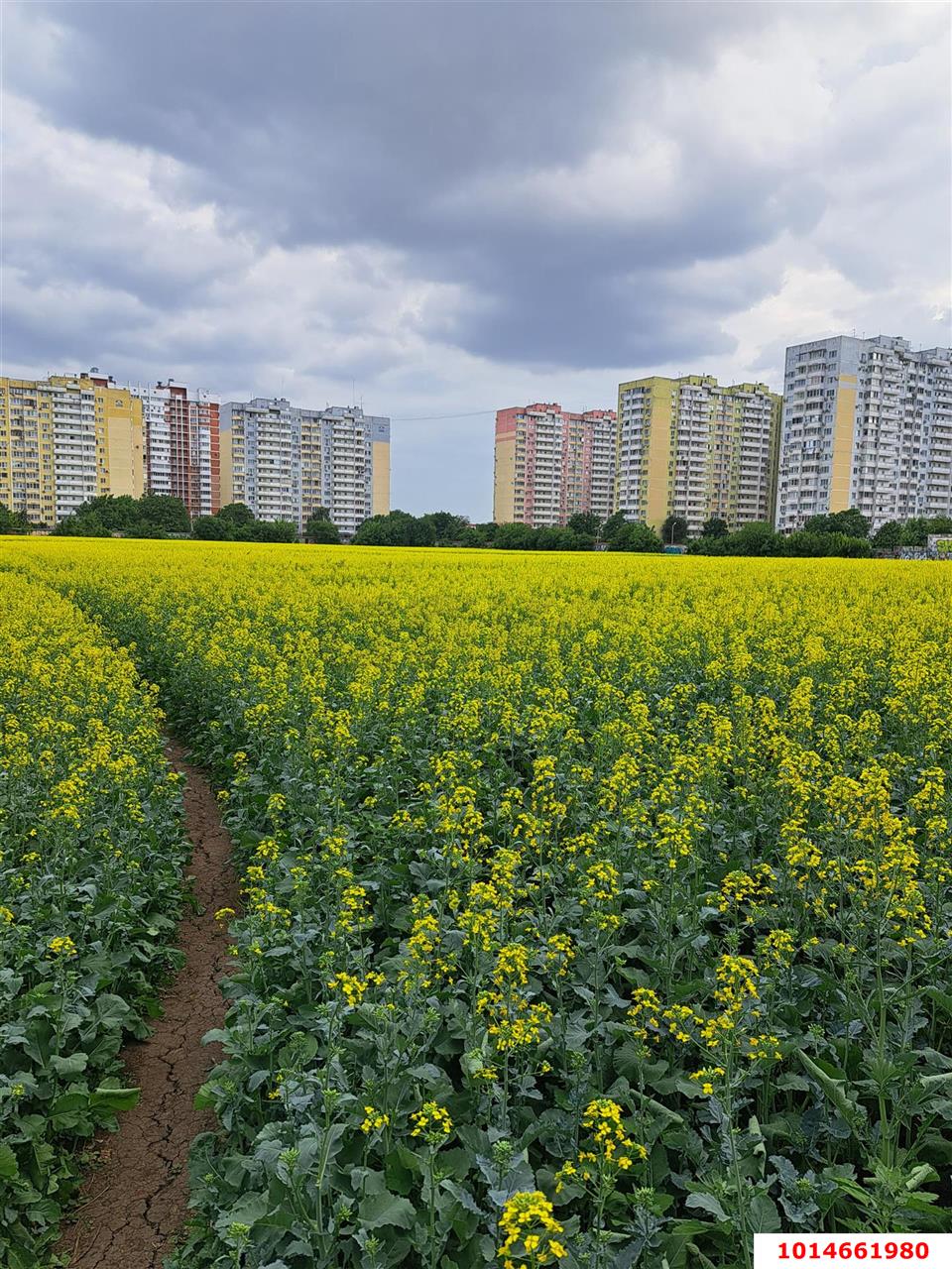 Фото №17: 1-комнатная квартира 35 м² - Краснодар, Завод Измерительных Приборов, ул. Зиповская, 46