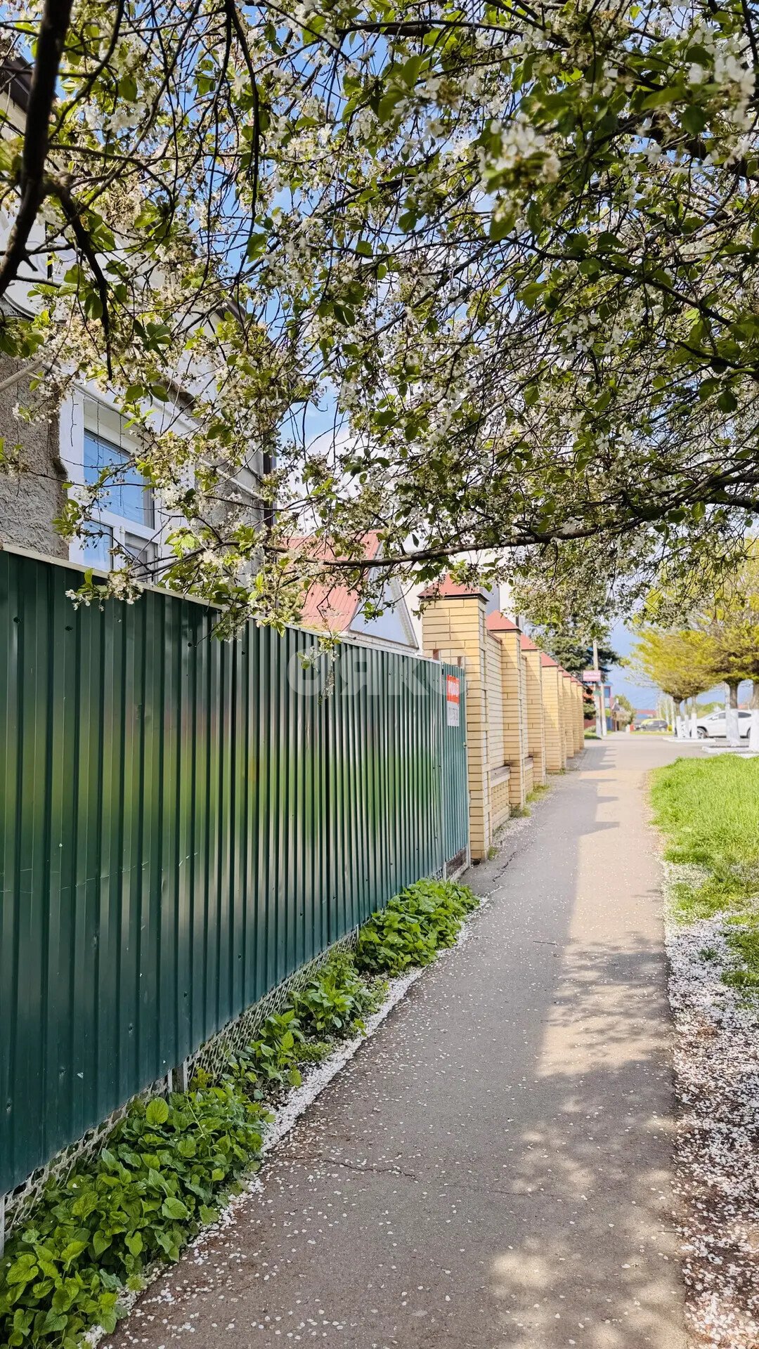 Фото №3: 1-комнатная квартира 41 м² - Платнировская, ул. Красная, 7