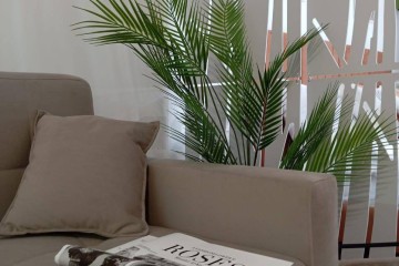 Фото №1: Студия 26 м² - Краснодар, мкр. ЖК Абрикосово, ул. имени Героя Георгия Бочарникова, 4к1