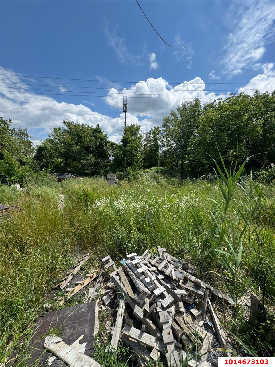 Фото №3: Участок садоводство 6.82 сот. - Елизаветинская, Кавказ, ул. Ягодная, 15