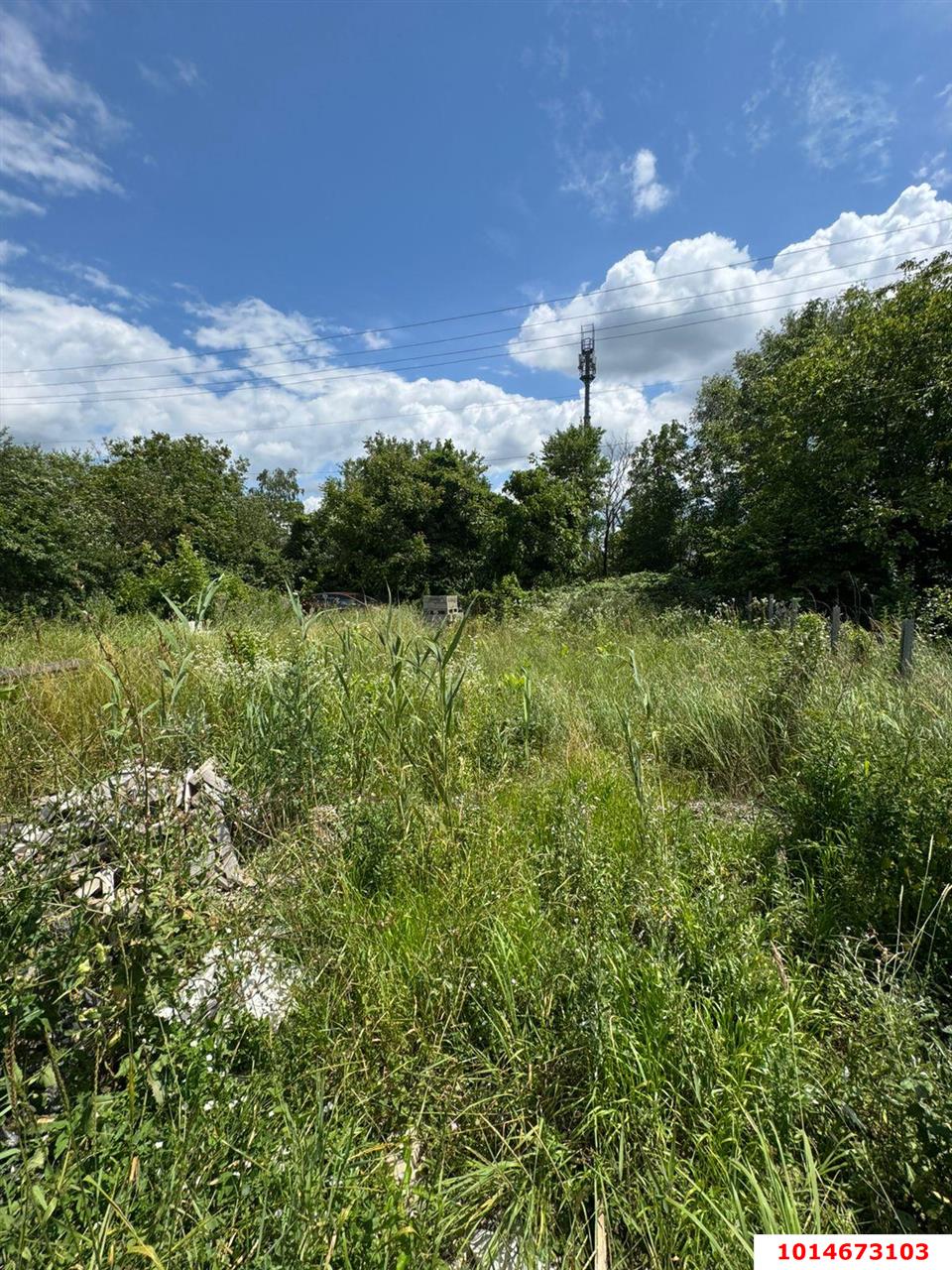 Фото №5: Земельный участок 6.82 сот. - Елизаветинская, Прикубанский внутригородской округ, ст Кавказ, ул. Ягодная, 15