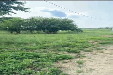 Фото №4: Земельный участок 10 сот. - Старобжегокай, ул. Юбилейная, 46