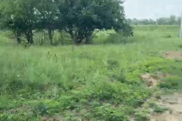 Фото №5: Земельный участок под ИЖС 8.3 сот. - Старобжегокай, ул. Лесная