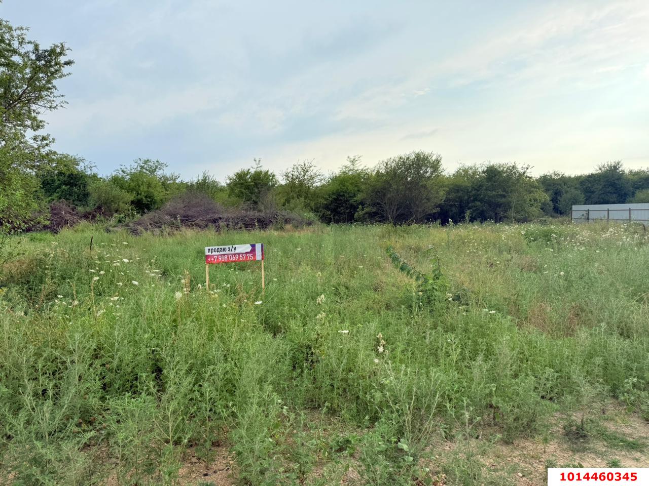 Фото №2: Земельный участок под ИЖС - Старобжегокай, ул. Лесная