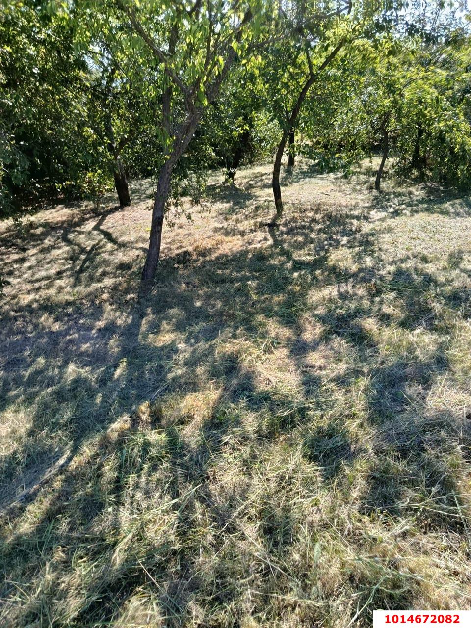 Фото №13: Земельный участок 8 сот. - СНТ Ива, мкр. Прикубанский внутригородской округ, ул. Казачья, 66