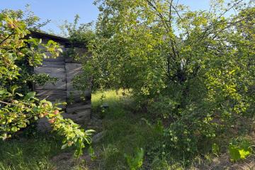 Фото №4: Земельный участок 8 сот. - СНТ Ива, мкр. Прикубанский внутригородской округ, ул. Казачья, 66