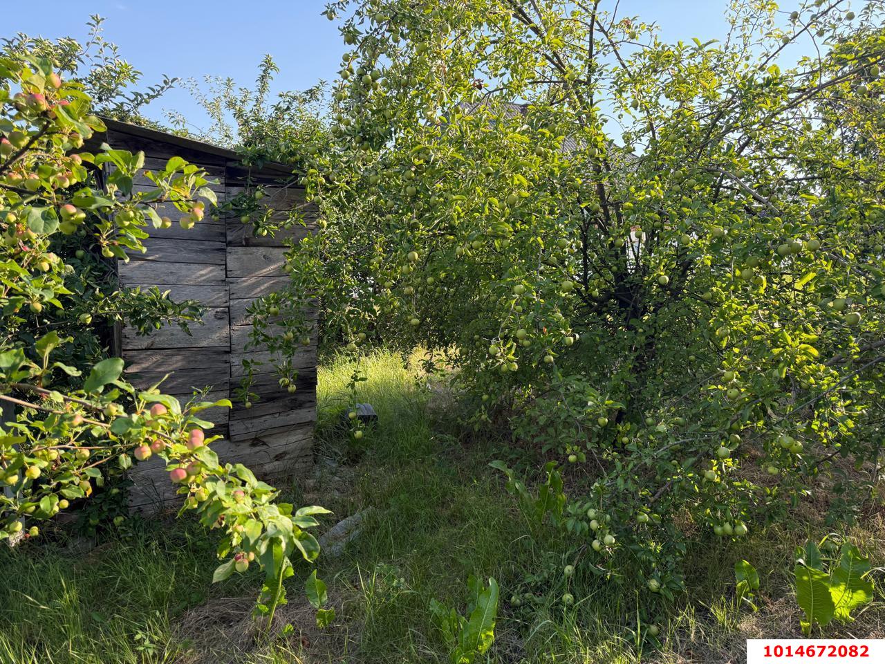 Фото №4: Участок садоводство 8 сот. - СНТ Ива, Прикубанский внутригородской округ, ул. Казачья, 66