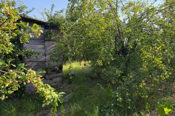 Фото №4: Участок садоводство 8 сот. - СНТ Ива, мкр. Прикубанский внутригородской округ, ул. Казачья, 66