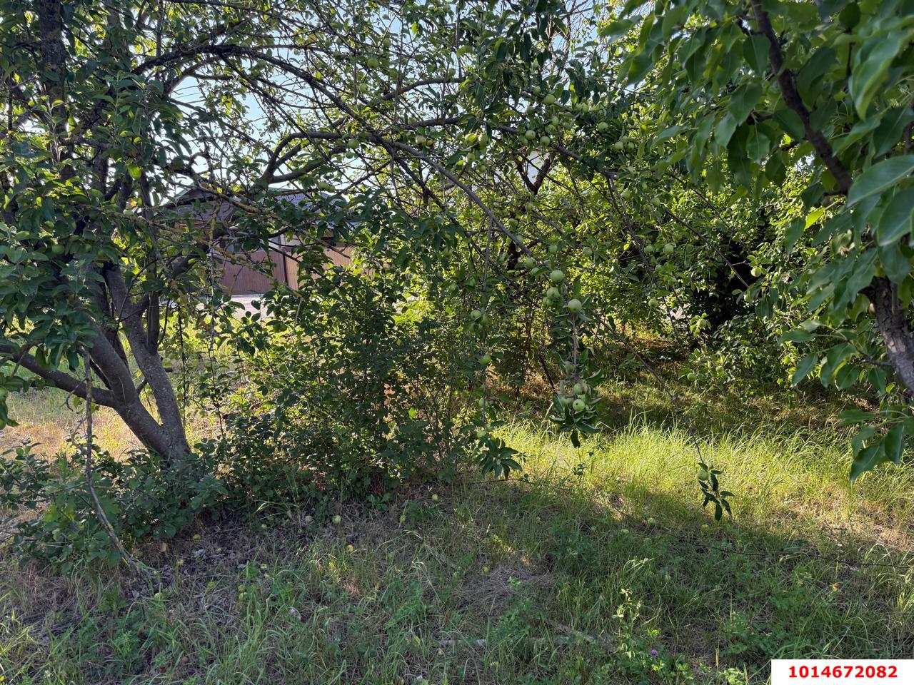 Фото №3: Участок садоводство 8 сот. - СНТ Ива, Прикубанский внутригородской округ, ул. Казачья, 66