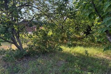 Фото №3: Земельный участок 8 сот. - СНТ Ива, мкр. Прикубанский внутригородской округ, ул. Казачья, 66