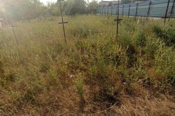 Фото №4: Коммерческая земля 8 сот. - СНТ Ива, мкр. Прикубанский внутригородской округ, ул. Казачья, 66