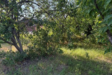 Фото №3: Участок садоводство 8 сот. - СНТ Ива, мкр. Прикубанский внутригородской округ, ул. Казачья, 66