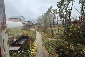 Фото №5: Участок садоводство 4 сот. - Елизаветинская, ст Градостроитель, ул. Вишнёвая, 97