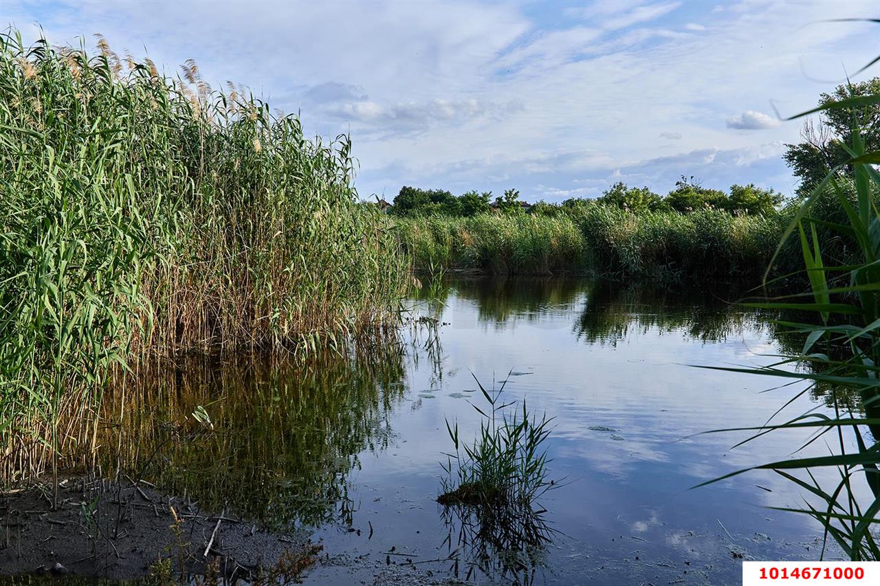 Фото №7: Дом 65 м² + 11.6 сот. - Новотитаровская, ул. Набережная, 51