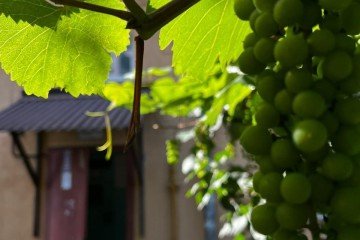 Фото №2: 1-комнатная квартира 31 м² - Краснодар, мкр. Камвольно-суконный Комбинат, ул. 2-я Заречная, 104Б