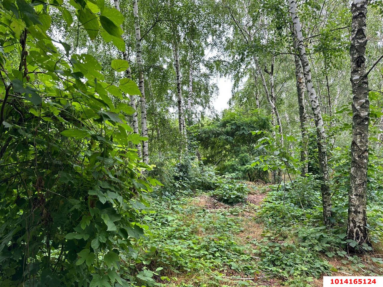 Фото №8: Земельный участок 21 сот. - Ленина, мкр. Карасунский внутригородской округ, ул. 4-я Сторожевая, 1