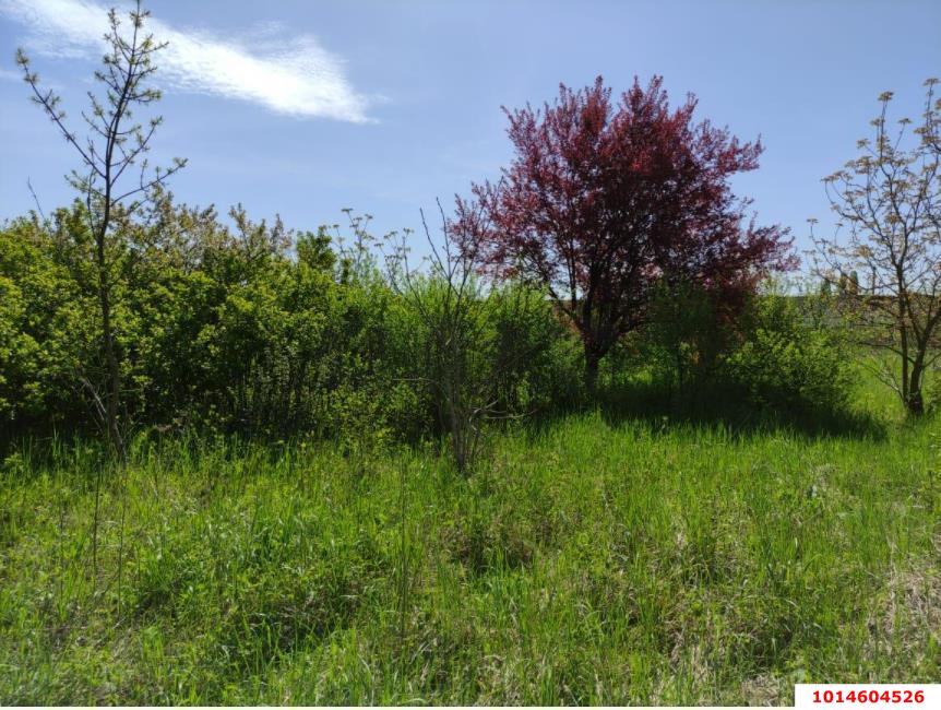 Фото №2: Участок садоводство 6 сот. - Екатериновский, Молодых Комсомольцев № 1, ул. Суворова