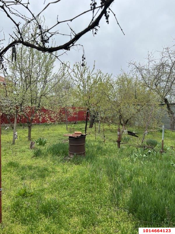 Фото №4: Личное подсобное хозяйство - Заря, мкр. Прикубанский внутригородской округ, ул. Майская, 48