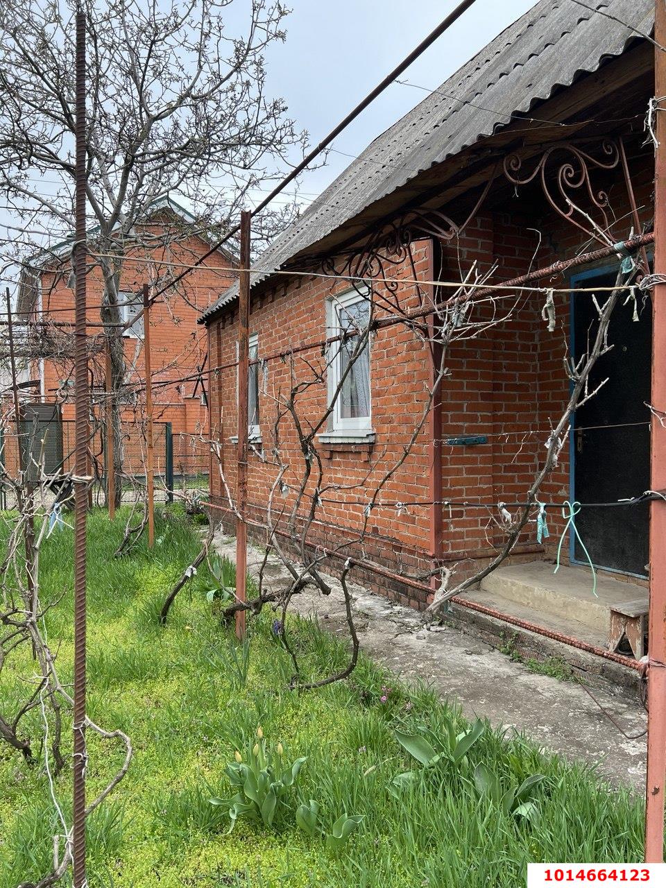 Фото №1: Личное подсобное хозяйство - Заря, мкр. Прикубанский внутригородской округ, ул. Майская, 48