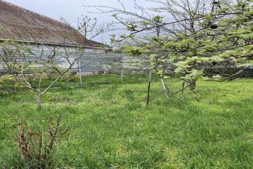 Фото №3: Земельный участок 6.29 сот. - Заря, мкр. Прикубанский внутригородской округ, ул. Майская, 48