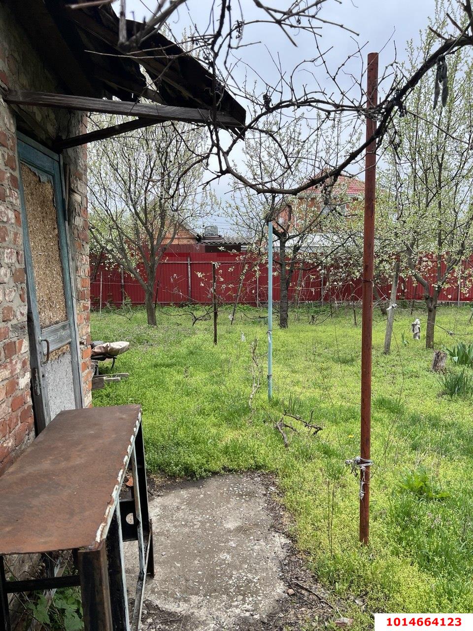 Фото №2: Личное подсобное хозяйство - Заря, мкр. Прикубанский внутригородской округ, ул. Майская, 48