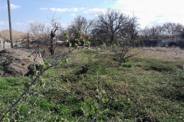 Фото №2: Участок садоводство 4.04 сот. - Красноперекопск, мкр. садоводческое общество Мичуринец, ул. Розовая, 37