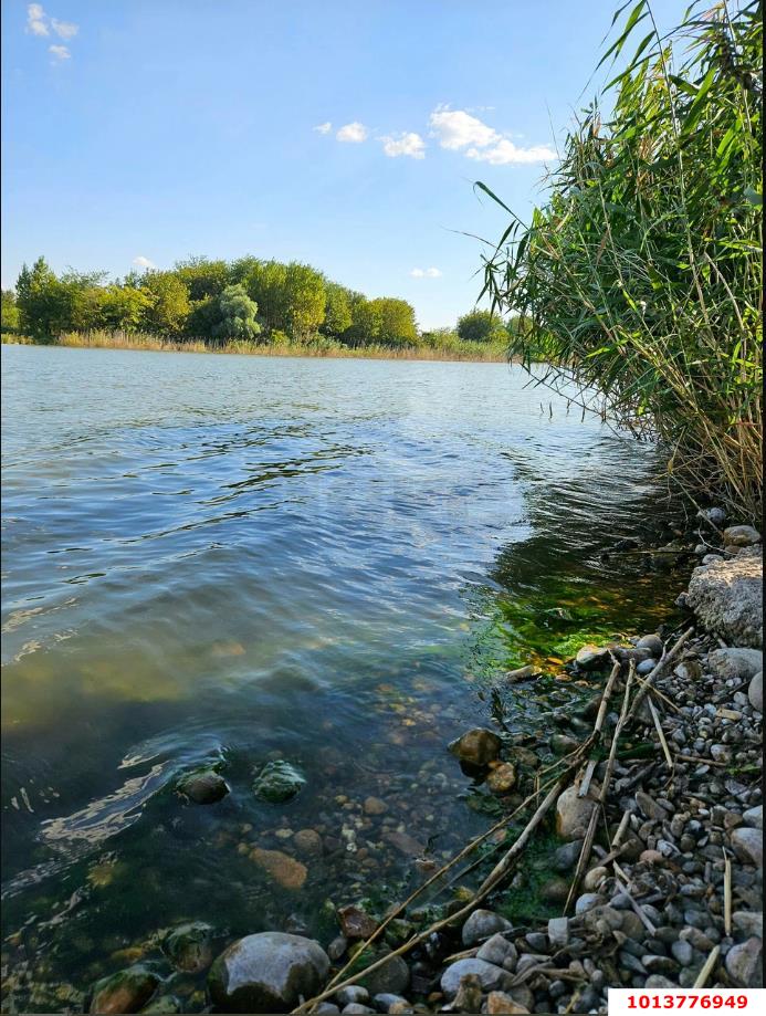 Фото №10: Земельный участок 34.9 сот. - Ягодка, ул. Персиковая