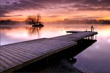 Фото №2: Земельный участок 34.9 сот. - Ягодка, ул. Персиковая