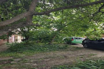 Фото №1: Земельный участок 5 сот. - Краснодар, мкр. Фестивальный, пр-д Брюсова, 20