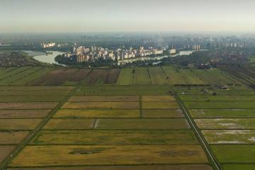 Фото №2: Земельный участок 5.78 сот. - СТ Дружба, ул. Клубничная, 22