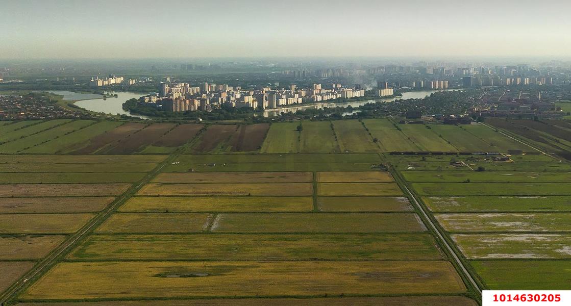 Фото №2: Земельный участок 5.78 сот. - СТ Дружба, ул. Клубничная, 22