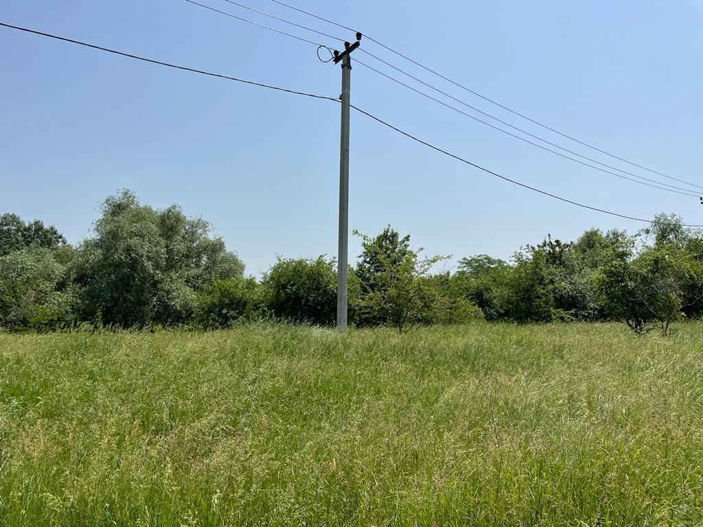 Фото №2: Коммерция 11 м² - Новый Сад, ул. Полевая