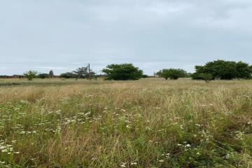 Фото №4: Коммерция 11 м² - Новый Сад, ул. Полевая