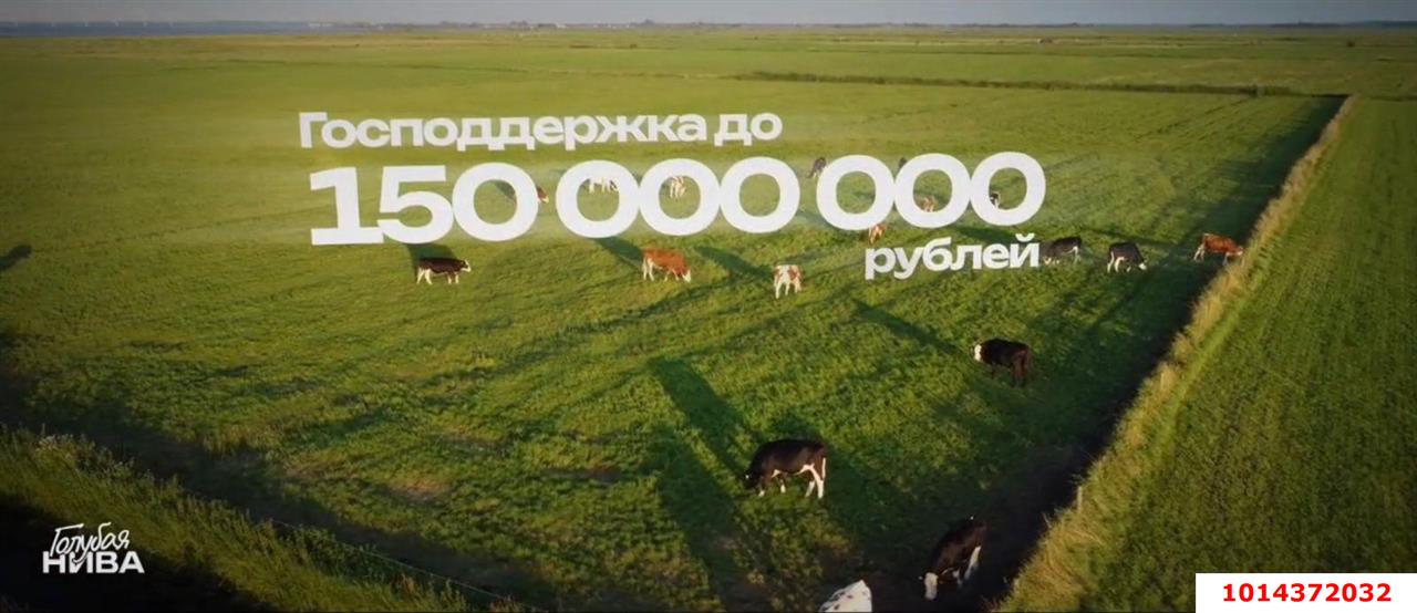 Фото №9: Коммерческая земля 2492 сот. - Краснодарский край Славянский район