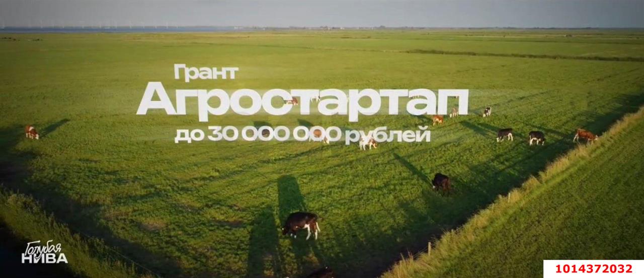 Фото №10: Коммерческая земля 2492 сот. - Краснодарский край Славянский район