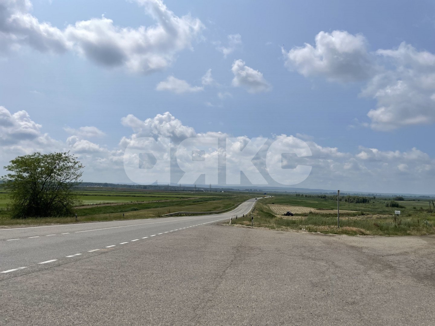Фото №13: Личное подсобное хозяйство 33 сот. - Коржевский, ул. Молодёжная, 11
