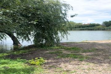 Фото №1: Земельный участок 16.93 сот. - Красносельское, 