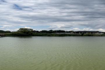 Фото №3: Земельный участок 16.93 сот. - Красносельское, 