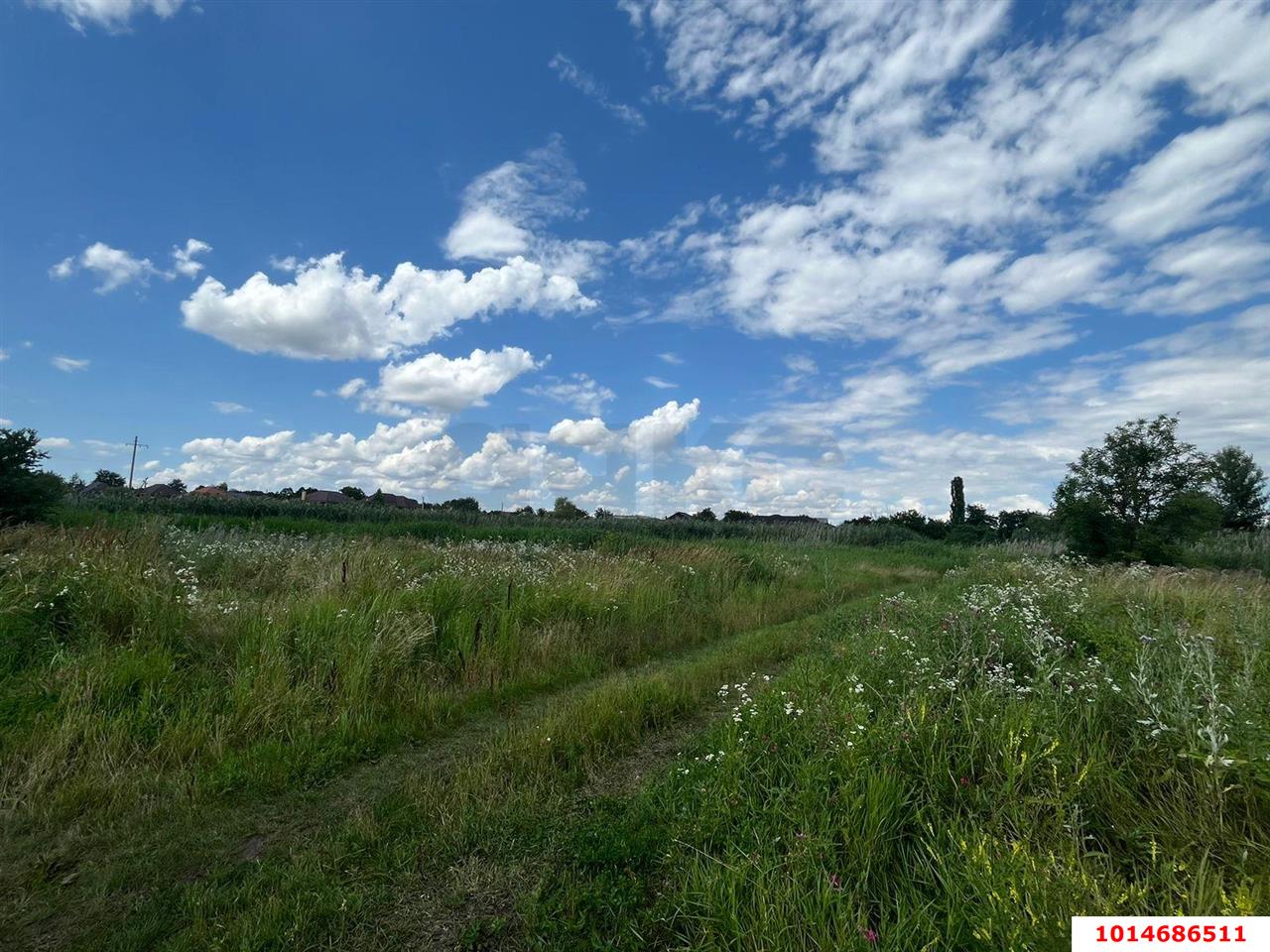 Фото №6: Земельный участок 16.93 сот. - Красносельское, пер. Школьный