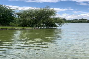 Фото №2: Земельный участок 16.93 сот. - Красносельское, 