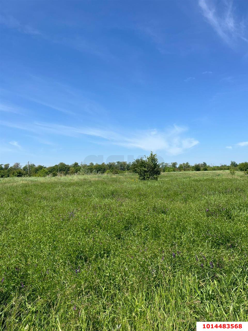 Фото №12: Земельный участок под ИЖС 11 сот. - Индустриальный, коттеджный поселок Вишня, ул. Багратионовская, 23